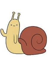 Snail -D