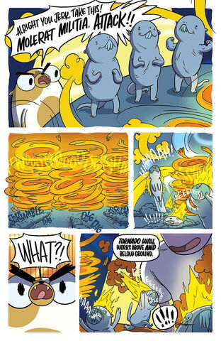File:AT-FionnaCake-CardWars-006-PRESS-6-914a9.jpg