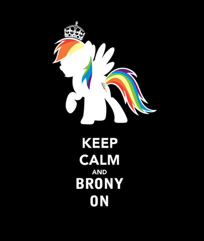 File:Tumblr static brony.jpg