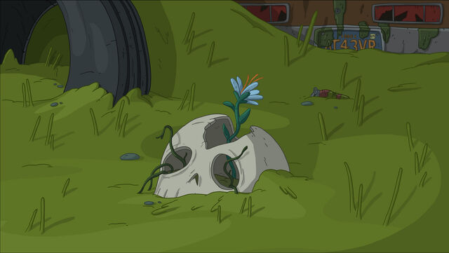 File:Skull flower.jpg