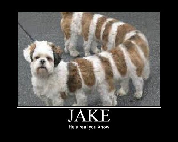 File:Jakeisreal.jpg