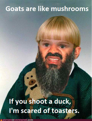 File:LOLOLOLOLOLOL.png