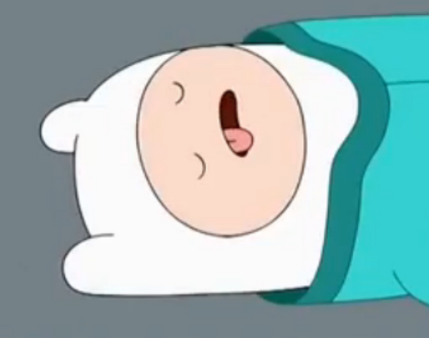 File:S5e42 Finn out cold.png