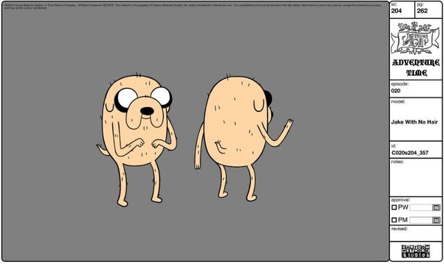 File:Modelsheet jake withnohair.jpg