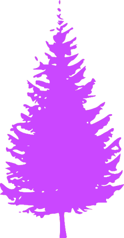 File:Spirit Day Evergreen Tree.png