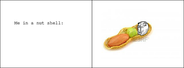 File:Nutshell.png