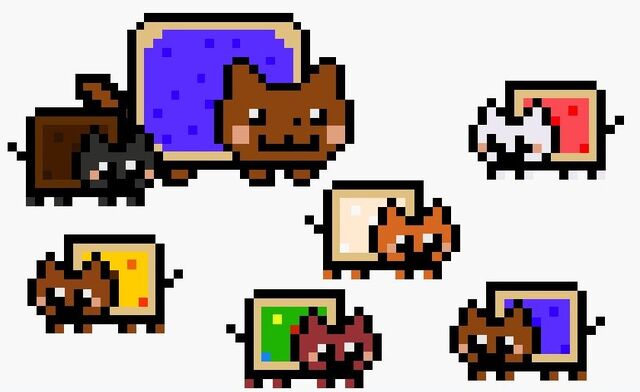 File:Wiki's Kittens.jpg