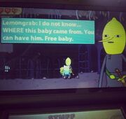 Gay lemon