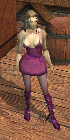 File:Hooker's Outfit view.png