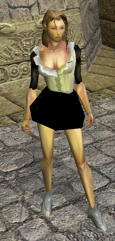 File:Maid's Clothes view.png