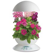 Aerogarden