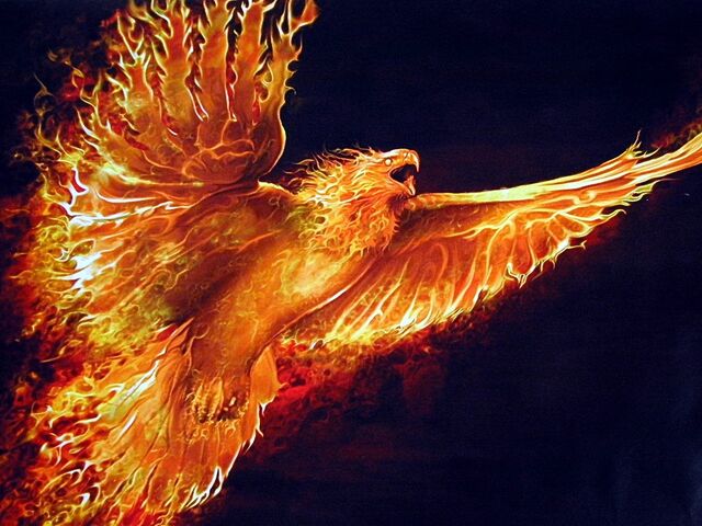 File:Phoenix.jpg