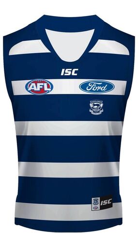 File:Geelong clash guernsey.jpg