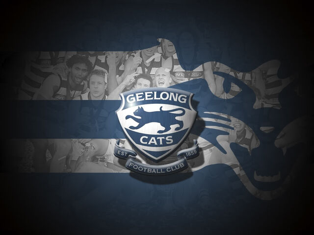 File:Geelong wallpaper 1.jpg