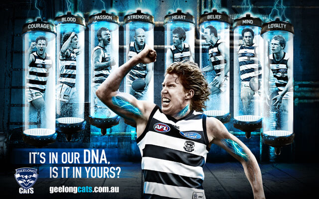 File:Geelong wallpaper 3.jpg