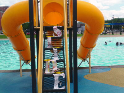 Slide at Sue Murray