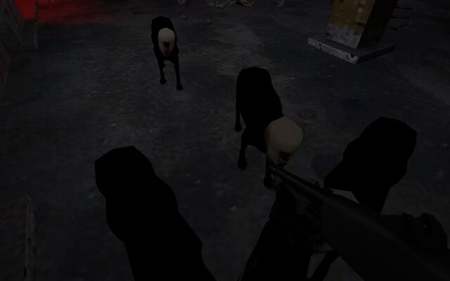 File:Blackdog2.jpg