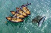 Whaling