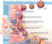 Scientificamerican0406-46-I3