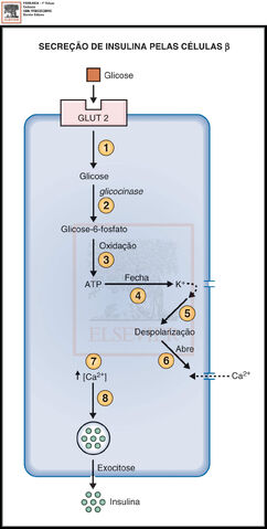 Arquivo:Figura9 28.jpg