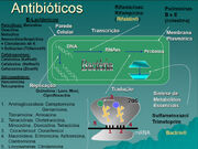 Antibióticos beta-lactâmicos.jpg