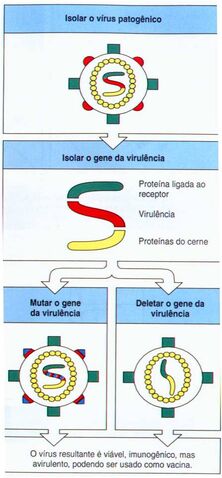 Arquivo:Deleção.jpg