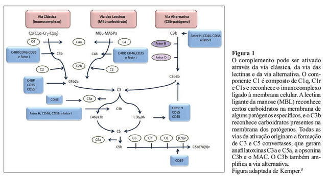 Arquivo:A09fig01.jpg