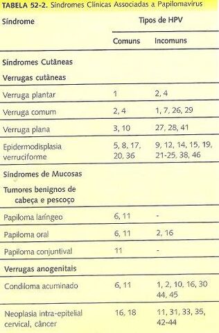 Arquivo:Hpv.jpg