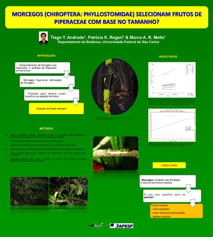 Arquivo:Postertiago.jpg