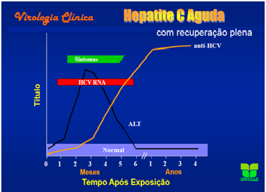 Aguda.png