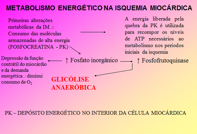 Arquivo:FISPAT.png