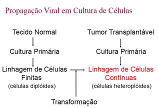 DL.jpg
