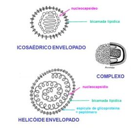 Simetria.jpg