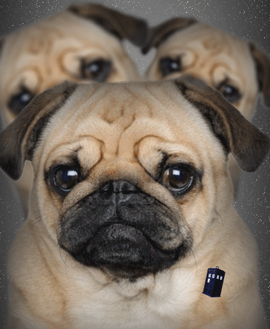 File:GiantSpacePugs.png