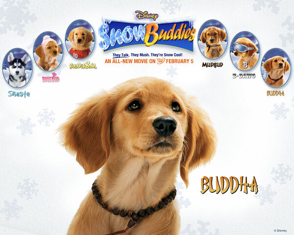 File:Snow buddies buddha.jpg