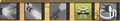 Thumbnail for version as of 05:29, September 3, 2012