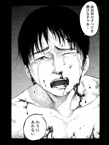 ファイル:命以外を.png