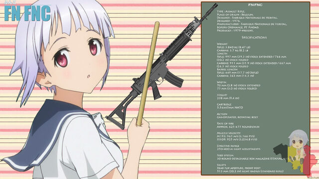 File:Fnc2.jpg