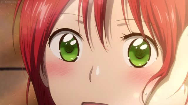 File:Episode 11.png