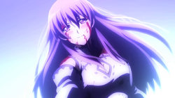 Sheele Last Moments