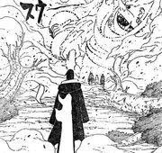 Kabuto sellado.jpg