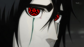 Kento-mirando-hacia-atras.png
