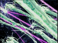 174yv.gif