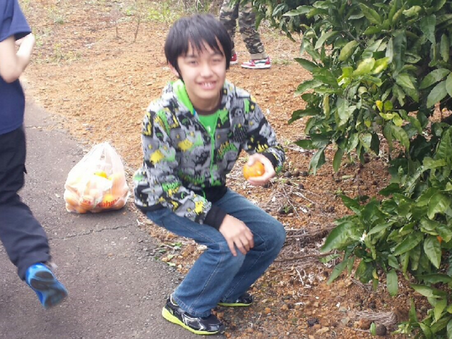 ファイル:Image-1.png