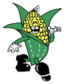 Cornguy
