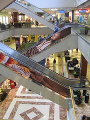 Td square m
