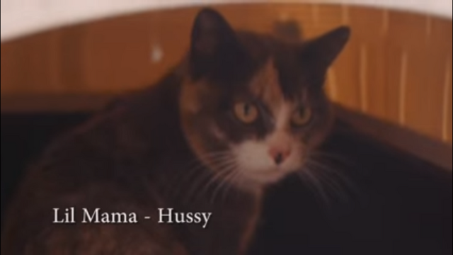 File:LilMama.png