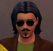 Regular bobby