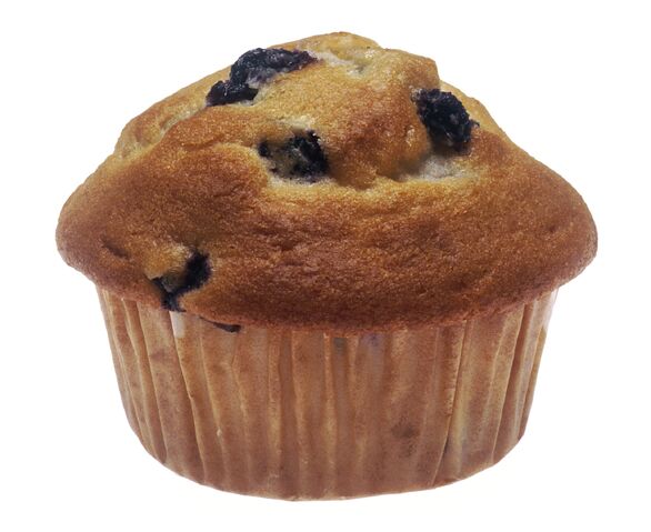 File:Muffin NIH.jpg