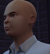 Henry bobby